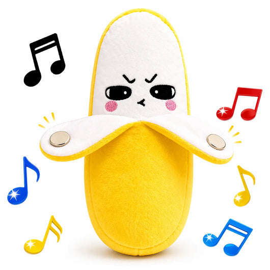 Toy