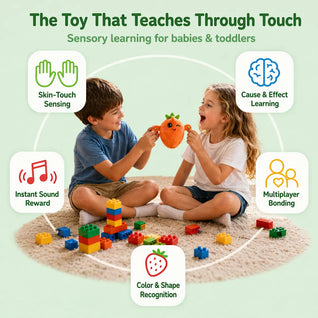Toy