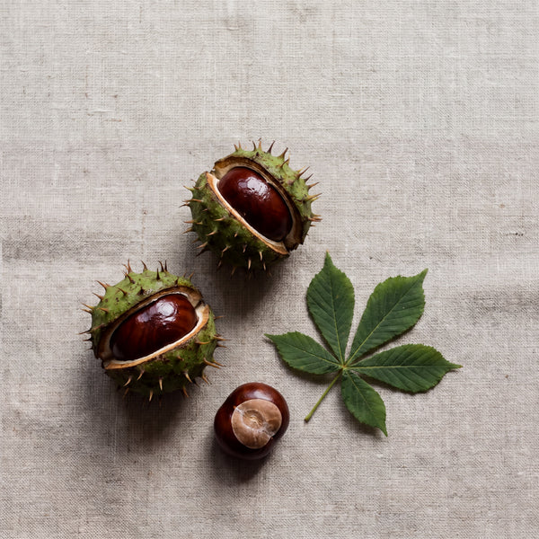 Horse Chestnut Extract (Aescin)