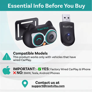 CarPlay Baby Camera